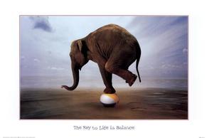 In Association with Art.com